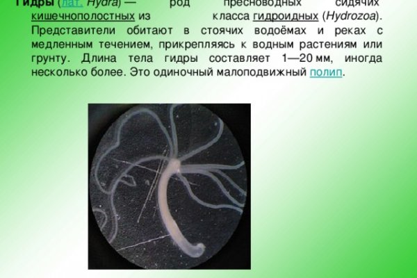 Кракен купить мефедрон