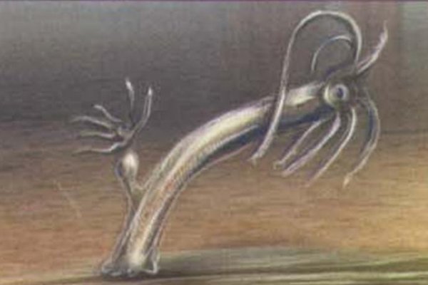Kraken даркнет gigageek ru