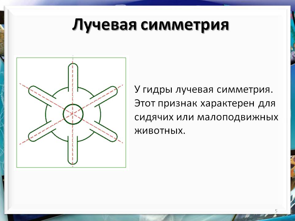 Ссылка на кракен kr2web in