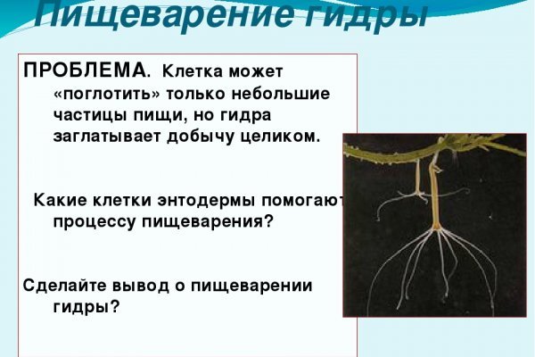Кракен сайт вход kraken torion