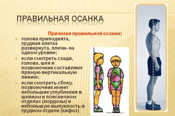 Кракен ссылка trikky