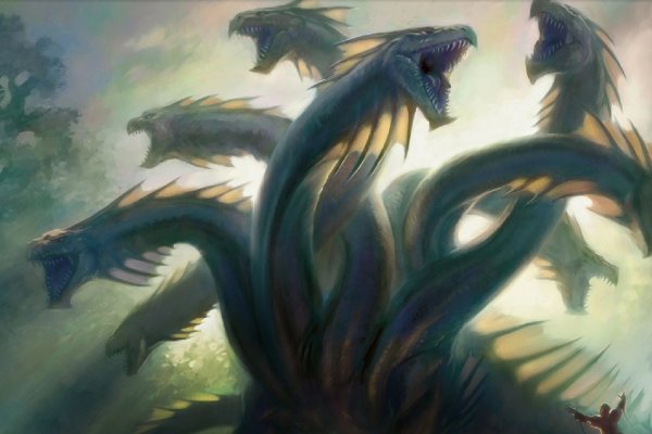Kraken рабочий