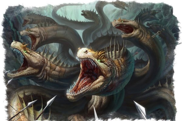 Kraken 24at