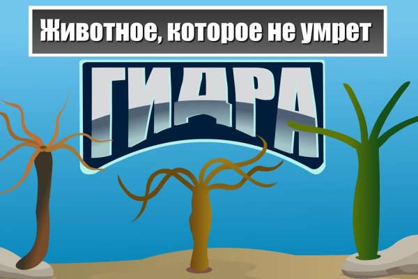 Кракен лого маркетплейс