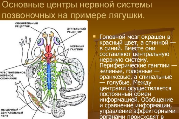 Кракен сайт это