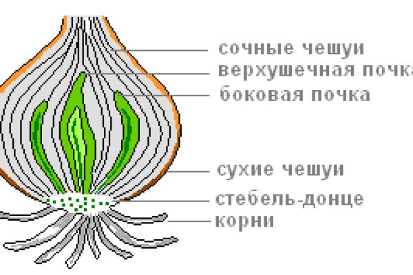 Кракен даркнет поддержка