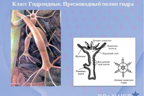 Кракен актуальное зеркало
